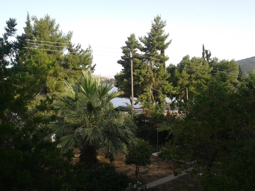 Elea Guesthouse Galaxídhion Kültér fotó
